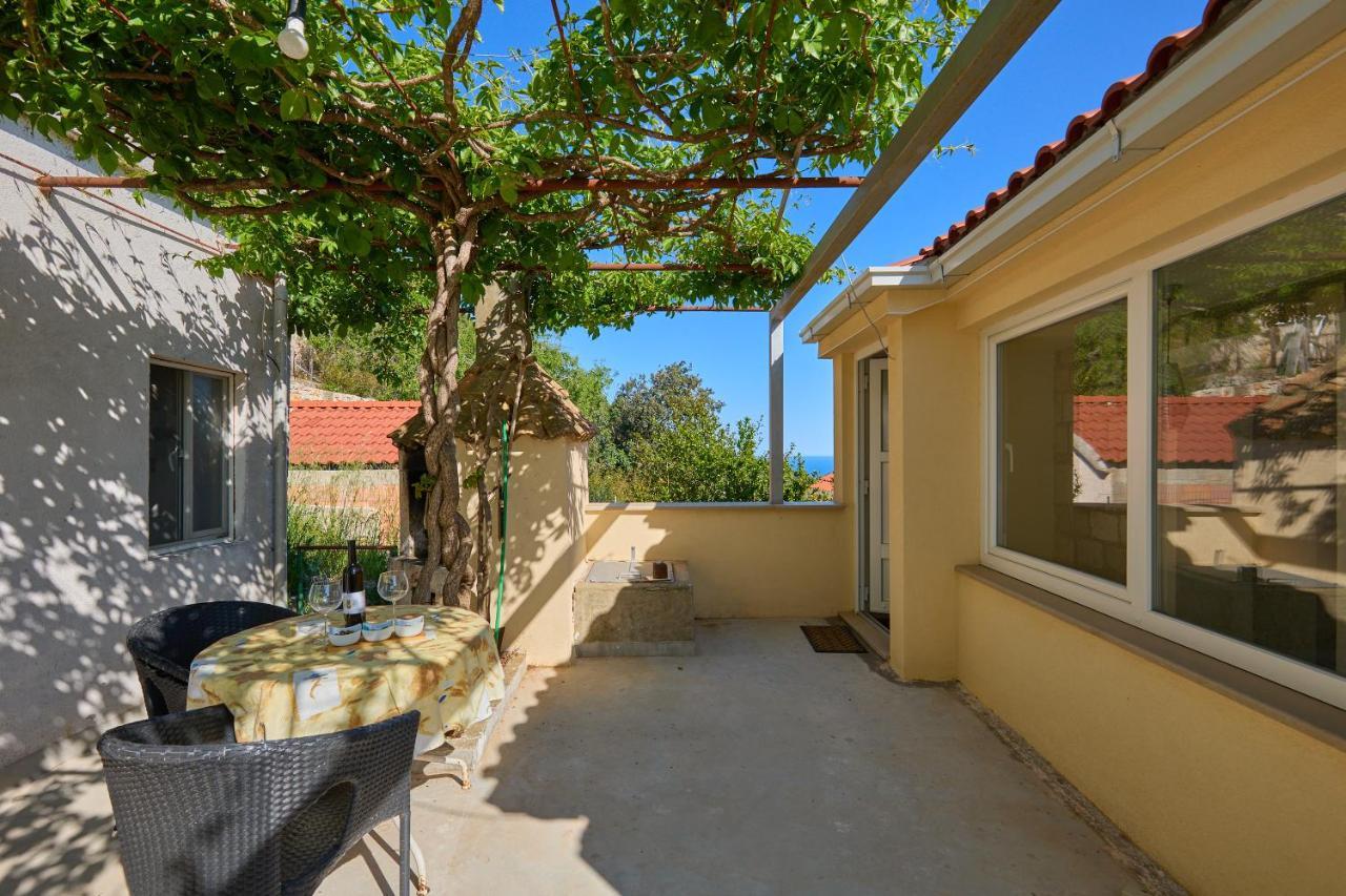 Babino Polje Stiga 4 - New 2 Bedroom Apartment מראה חיצוני תמונה